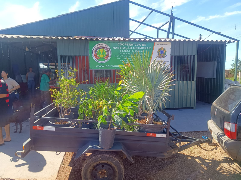 Imagem JPG, Indisponível